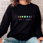 pride sweatshirt - not a phase